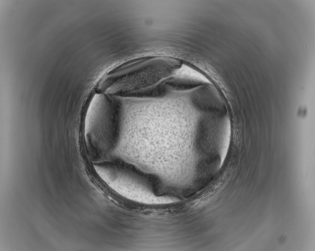 X0000097290434200803071735