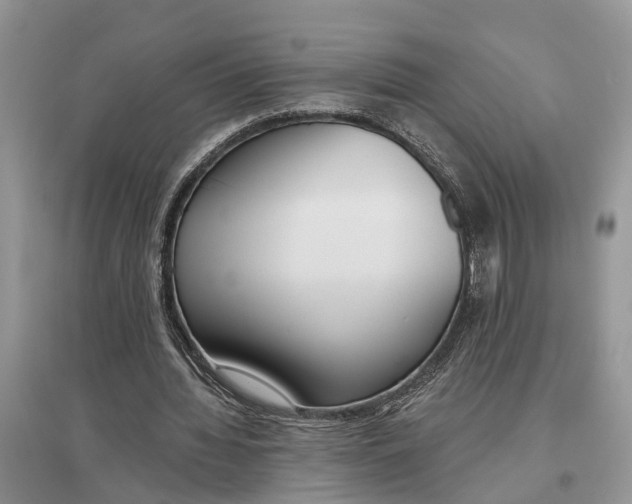 X0000097290436200803071735