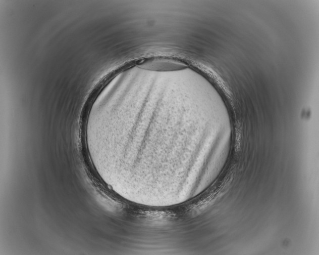 X0000097290439200803071735