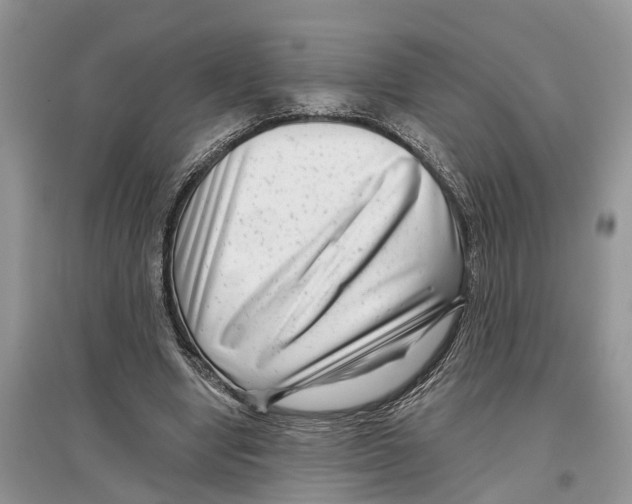 X0000097290442200803071735
