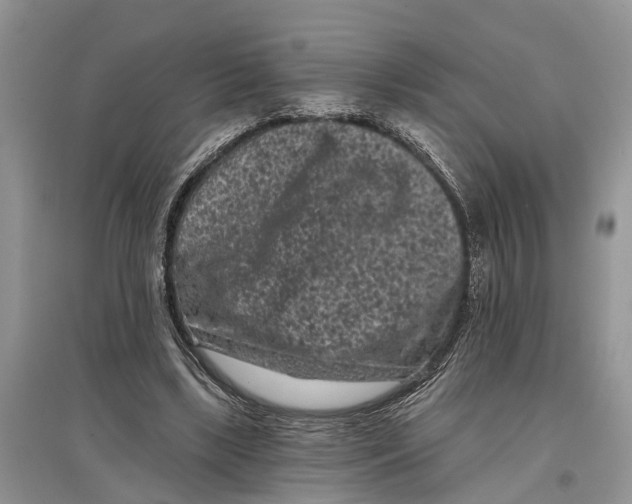 X0000097290443200803071735