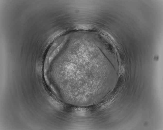 X0000097290444200803071735
