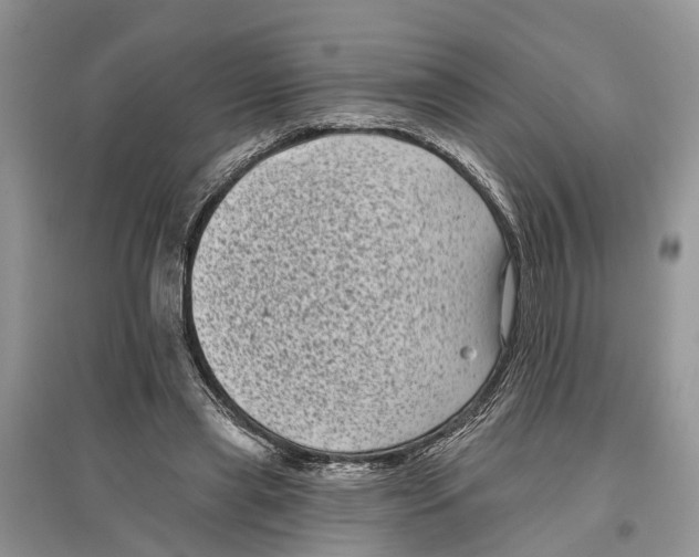 X0000097290445200803071735