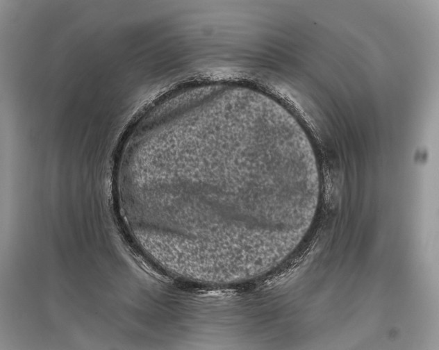 X0000097290447200803071735