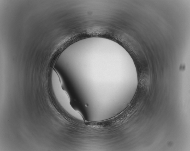 X0000097290448200803071735