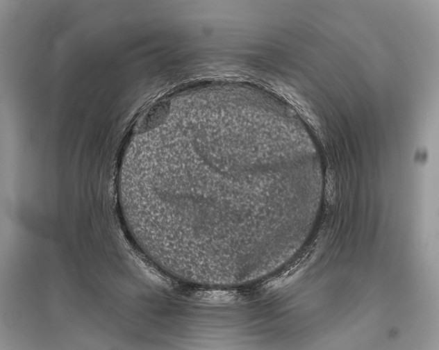 X0000097290449200803071735