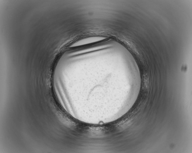 X0000097290450200803071735