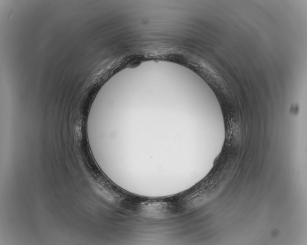 X0000097290452200803071735