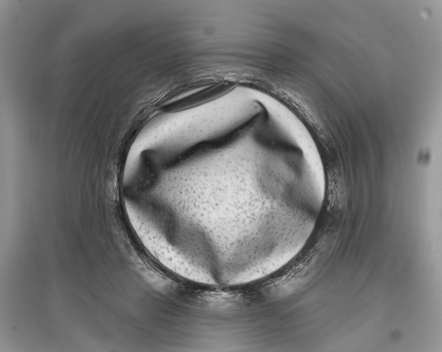 X0000097290453200803071735