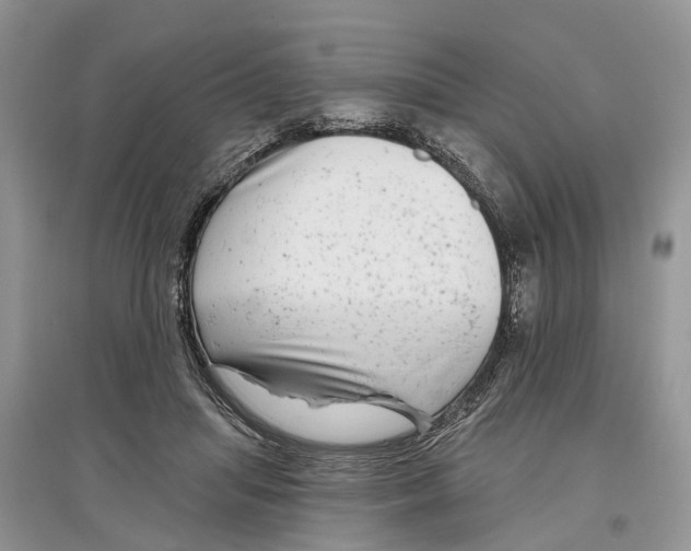 X0000097290455200803071735