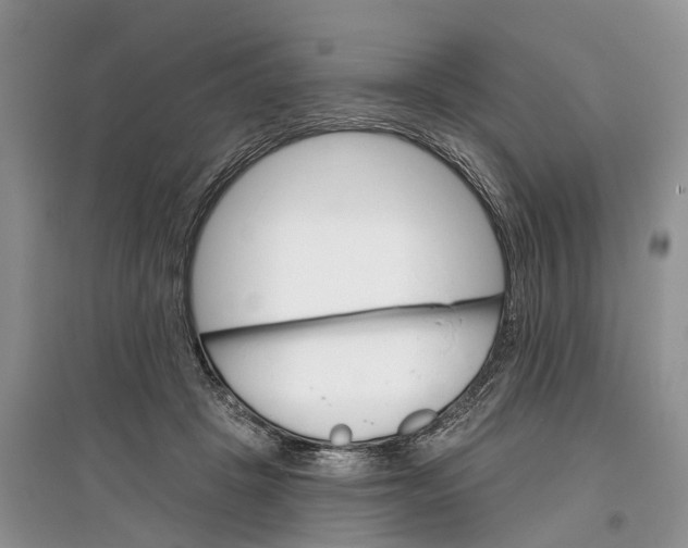 X0000097290457200803071735