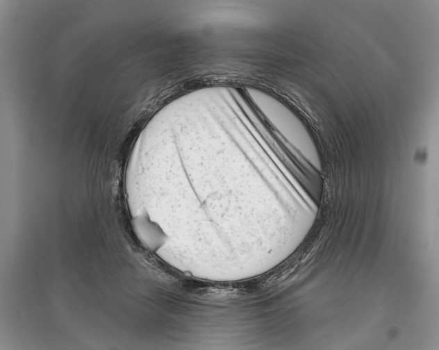 X0000097290458200803071735