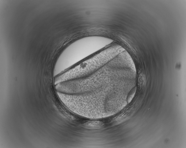X0000097290459200803071735