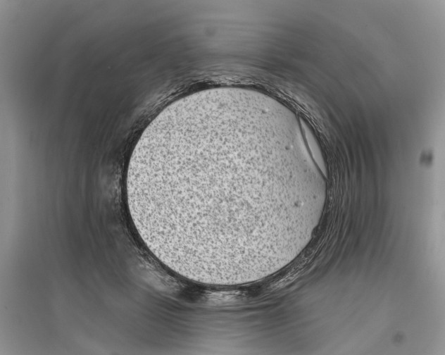 X0000097290461200803071735