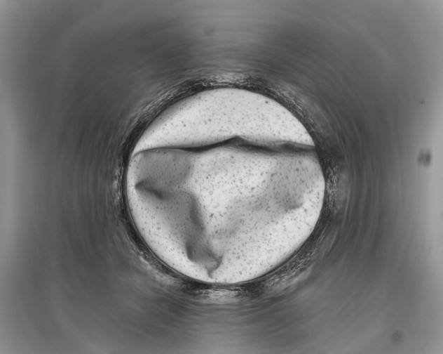 X0000097290462200803071735