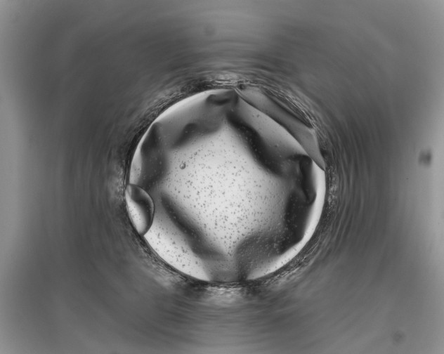 X0000097290469200803071735