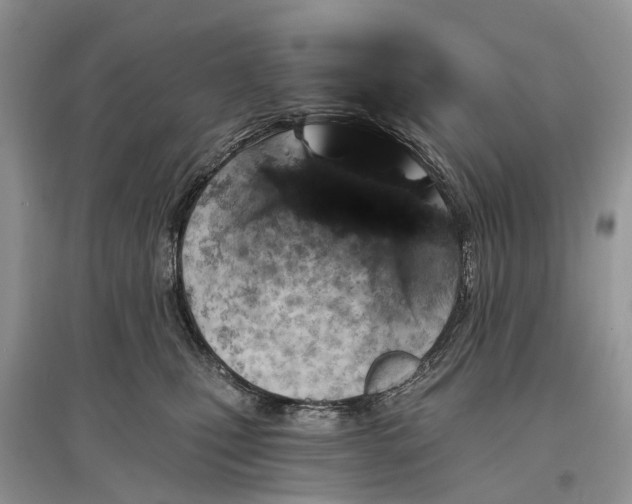 X0000097290471200803071735