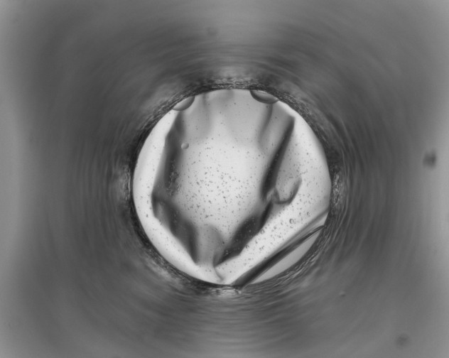X0000097290474200803071735