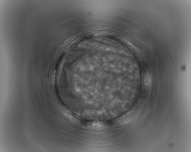 X0000097290475200803071735