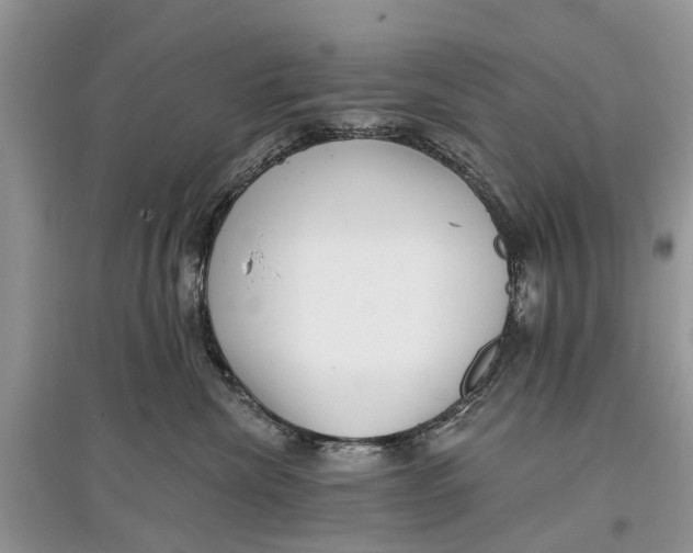 X0000097290476200803071735
