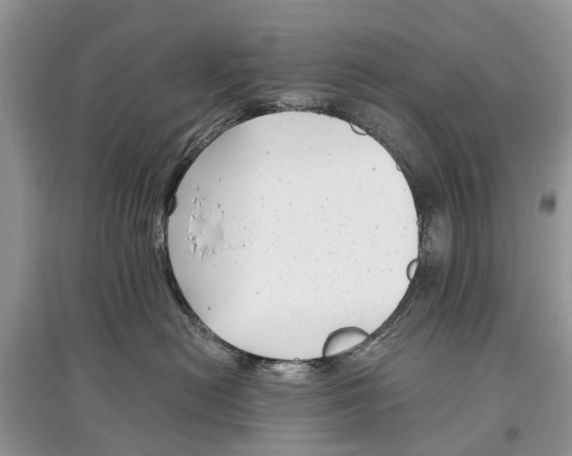 X0000097290478200803071735