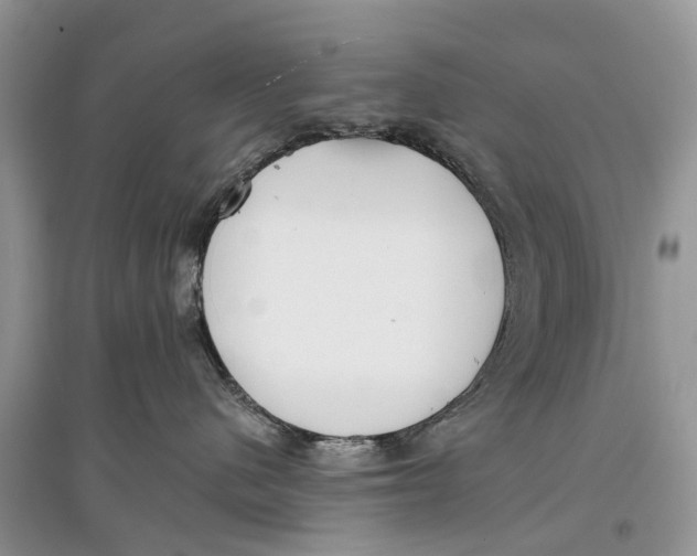 X0000097290480200803071735