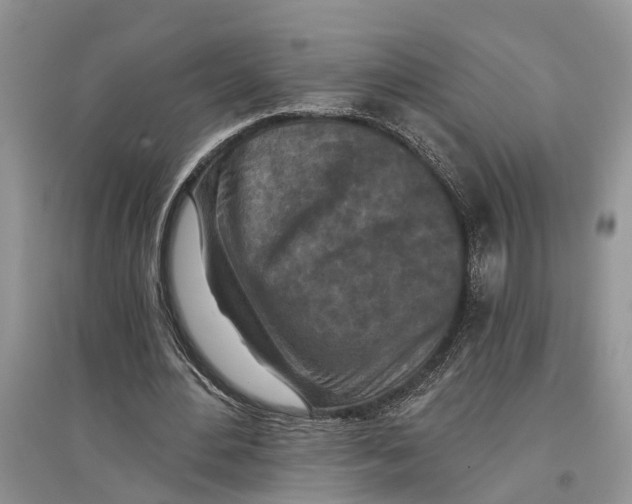 X0000097290484200803071735