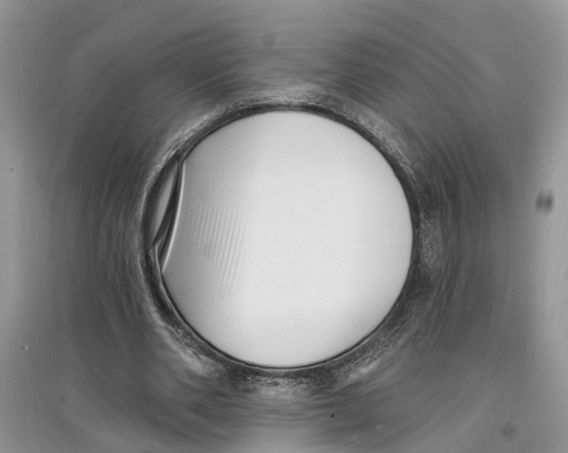 X0000097290486200803071735
