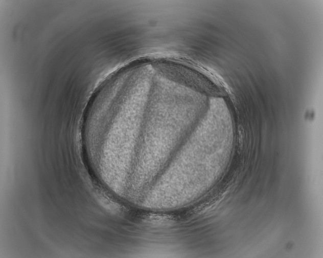 X0000097290487200803071735