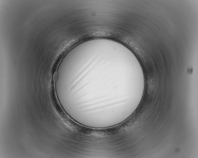 X0000097290490200803071735
