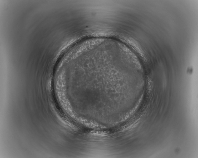 X0000097290491200803071735