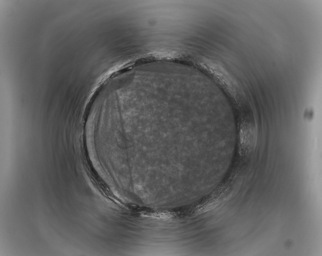 X0000097290492200803071735