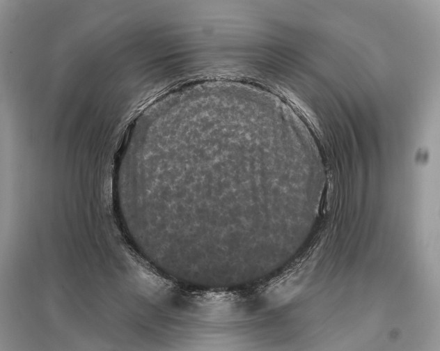 X0000097290493200803071735
