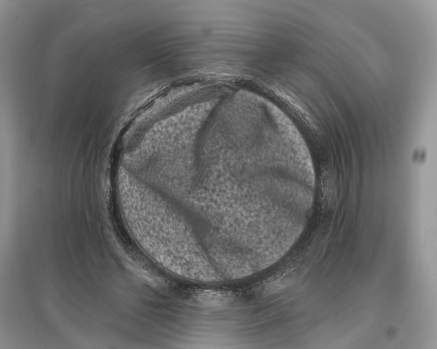 X0000097290494200803071735