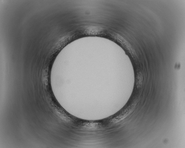 X0000097290497200803071735
