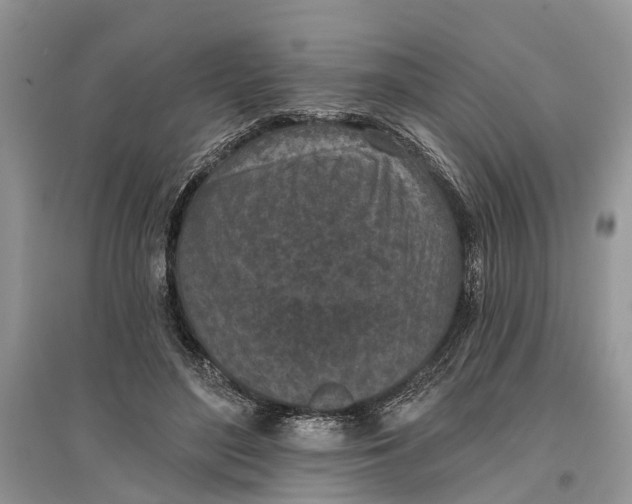 X0000097290500200803071735
