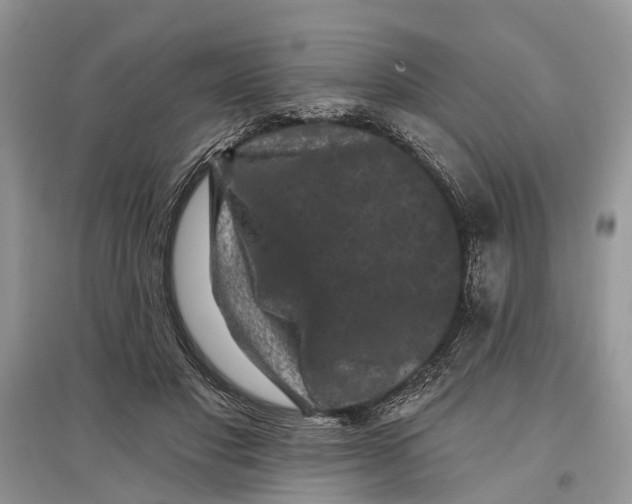 X0000097290501200803071735
