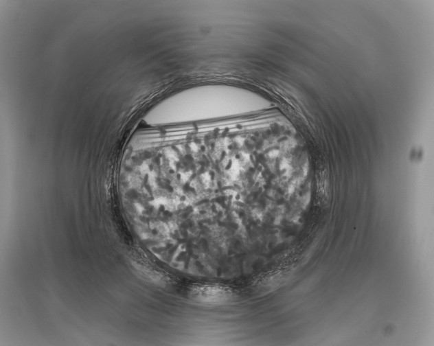 X0000097290503200803071735