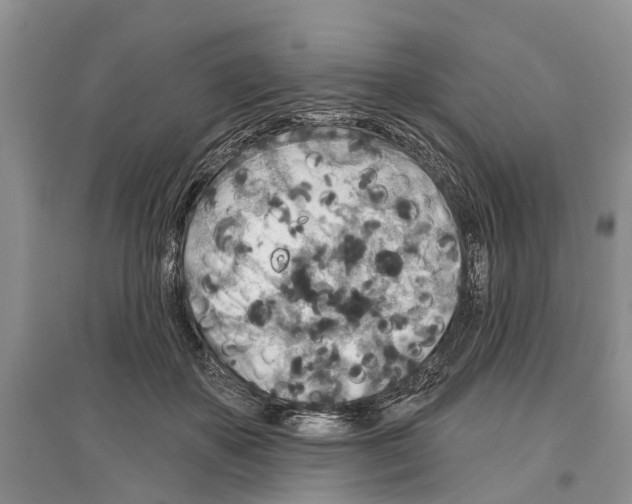 X0000097290507200803071734