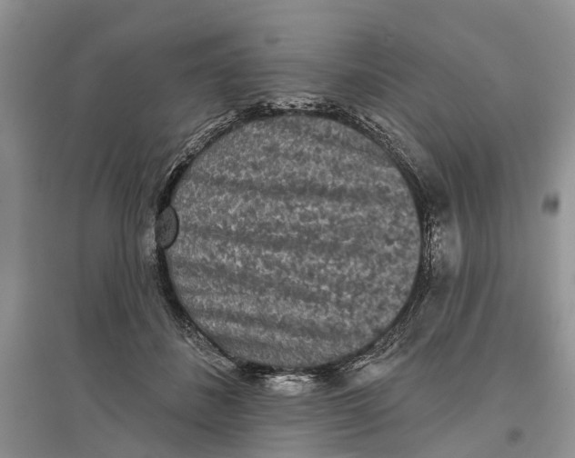 X0000097290508200803071734