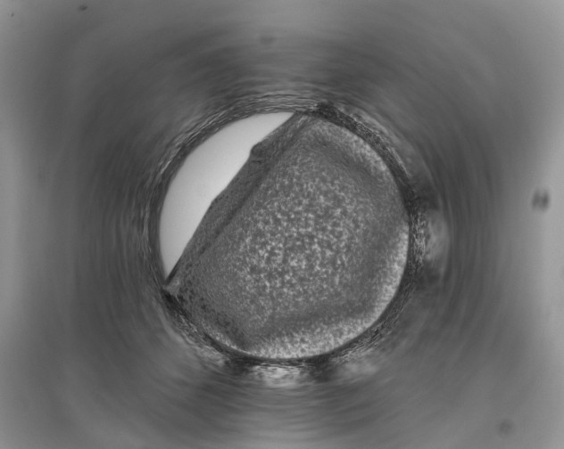 X0000097290512200803071734