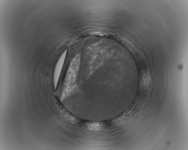 X0000097290513200803071734