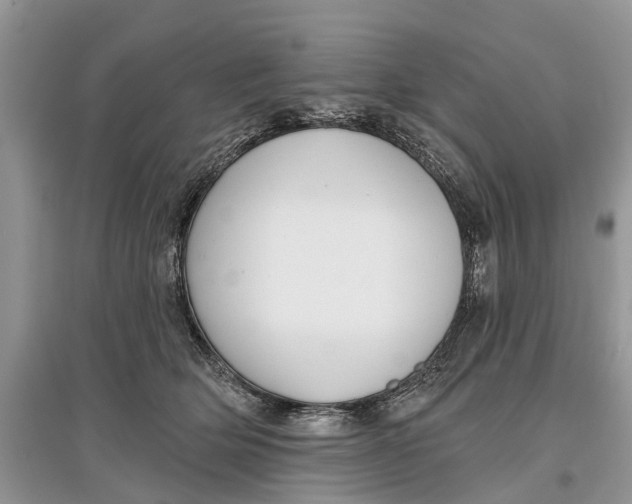 X0000097290514200803071734