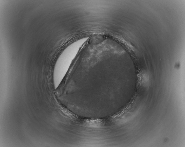 X0000097290517200803071734