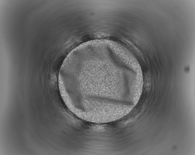 X0000097290523200803071734