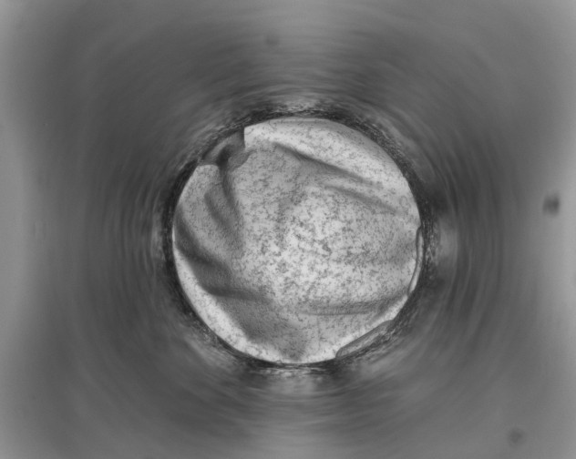 X0000097290524200803071734
