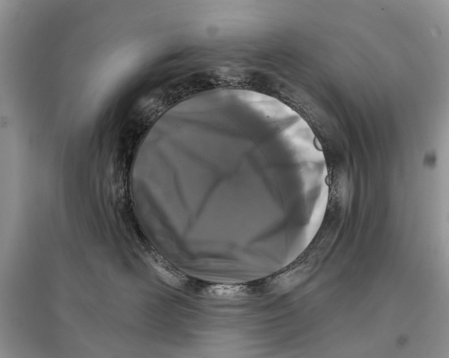 X0000097290526200803071734