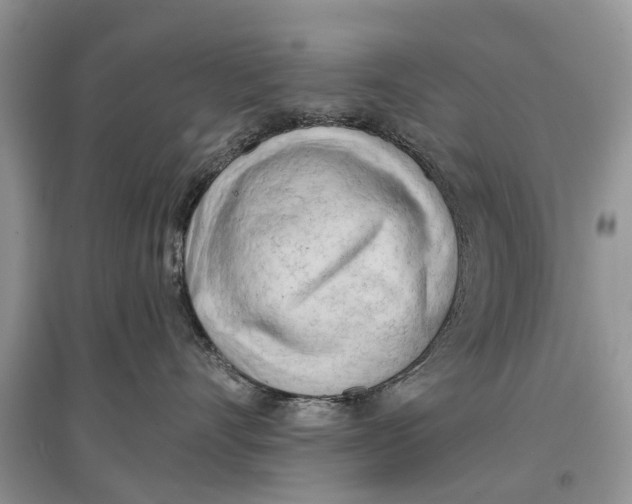 X0000097290528200803071734