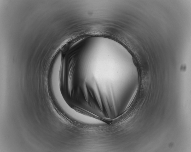 X0000097290530200803071734