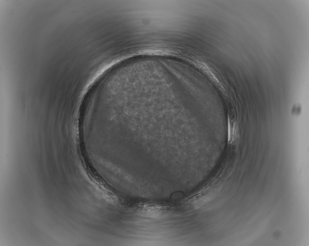X0000097290531200803071734